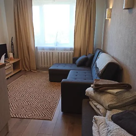 Cozy And Minimalistic Scandinavian Style Home. Apartment Tallinn